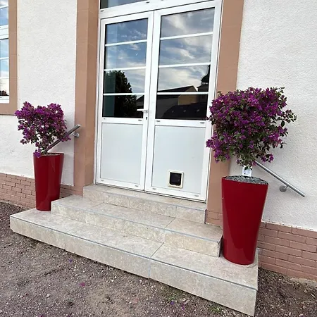 Deco'lia-soiree Etape *