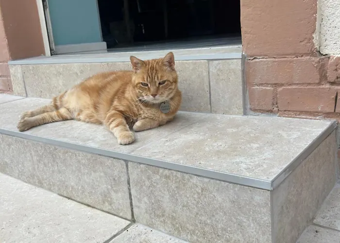 Deco'lia-soiree Etape Ballon-Saint-Mars